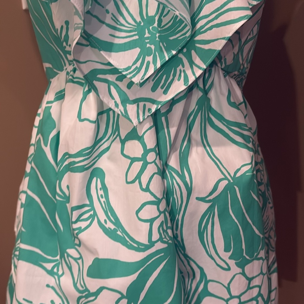 Lilly‎ Pulitzer Rita Marie V-neck Ruffle Spearmint Floral Dress - Picture 3 of 10